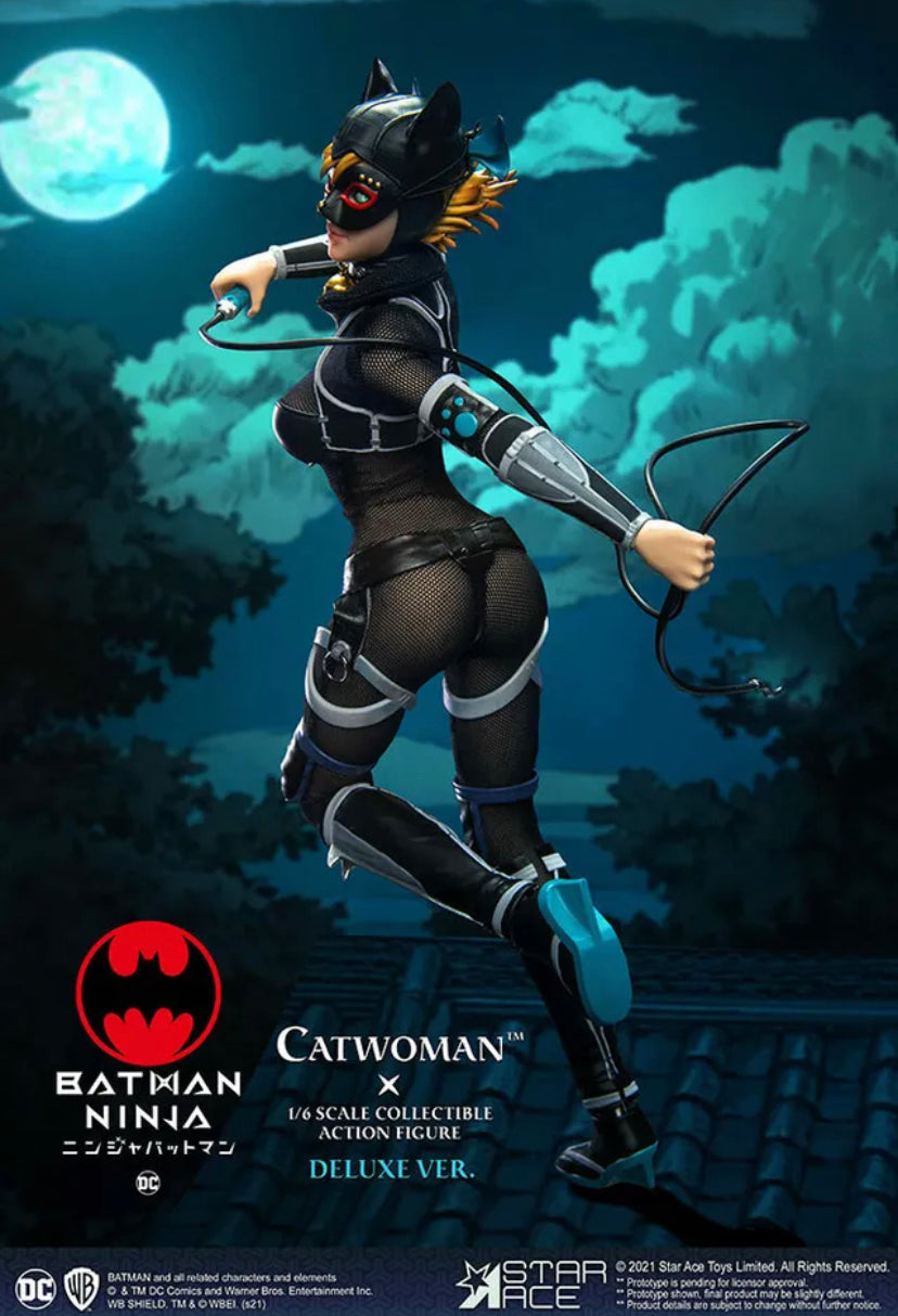 Catwoman (Deluxe Version) 1:6 Scale Figure by Star Ace Toys Ltd - Batm