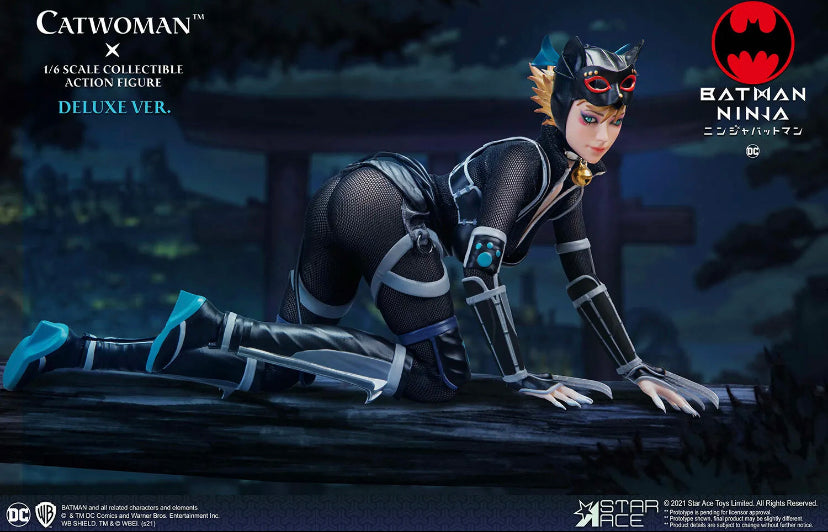 Catwoman (Deluxe Version) 1:6 Scale Figure by Star Ace Toys Ltd - Batm